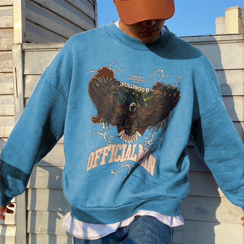 Retro Graphic Eagle Print Men's Crew Neck Pullover Sweatshirt