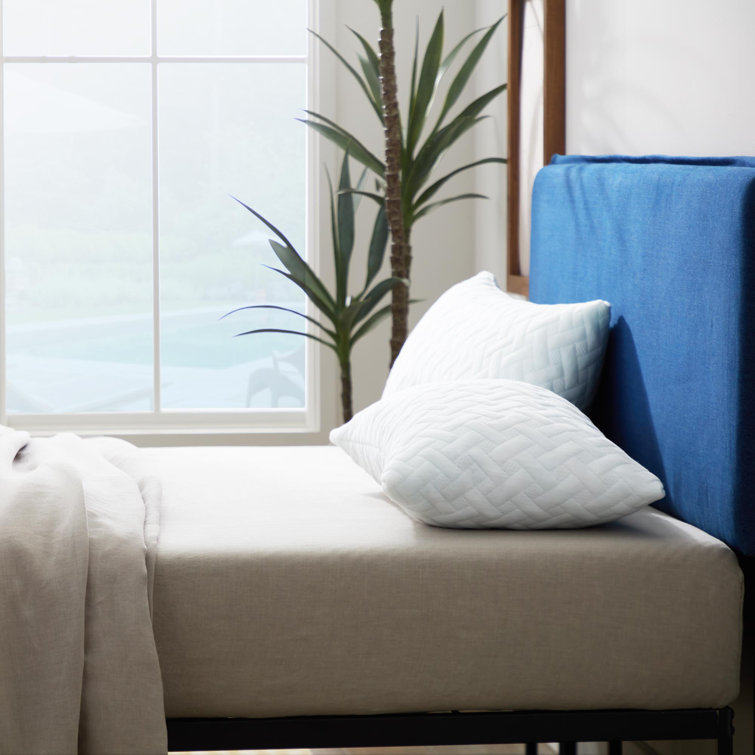 Springer Medium Pillow