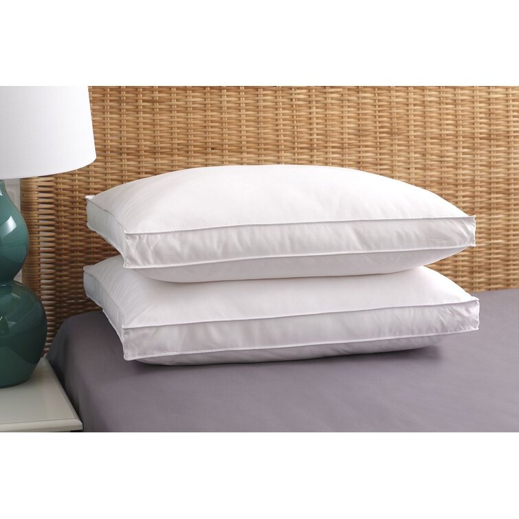 Aylin Down Alternative Plush Pillow