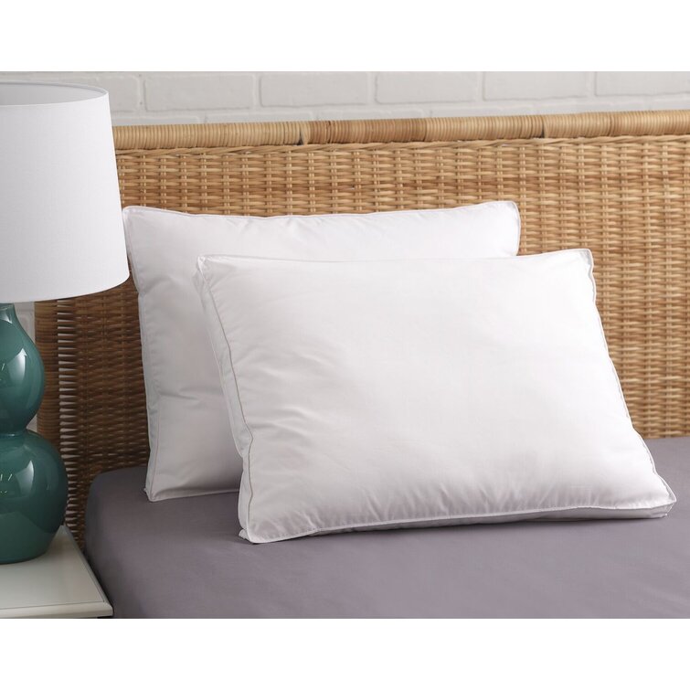 Aylin Down Alternative Plush Pillow