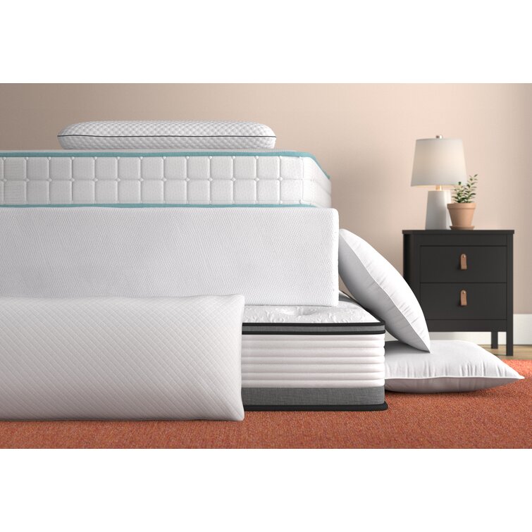 Wayfair SleepTM Polyester Plush Support Pillow