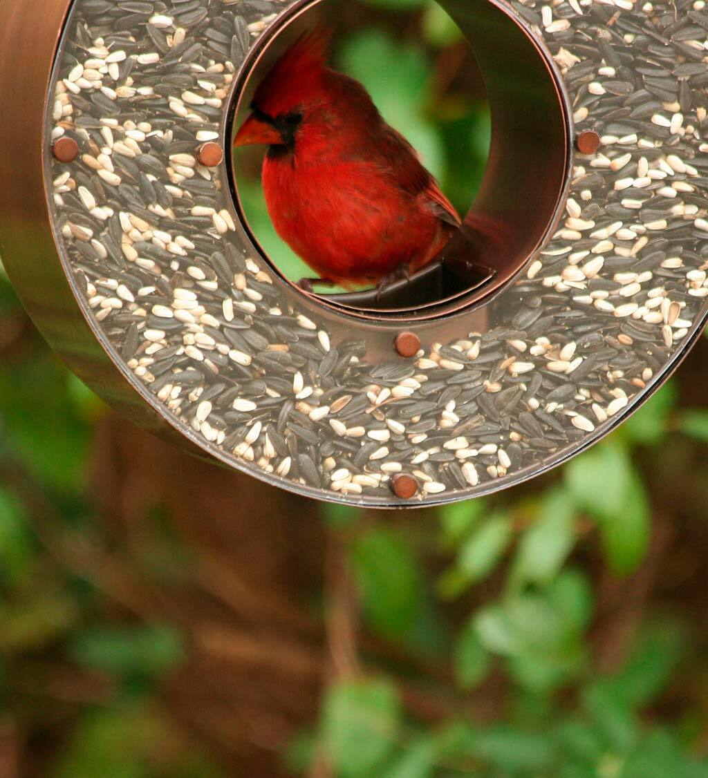 Copper Tear Drop Bird Feeder
