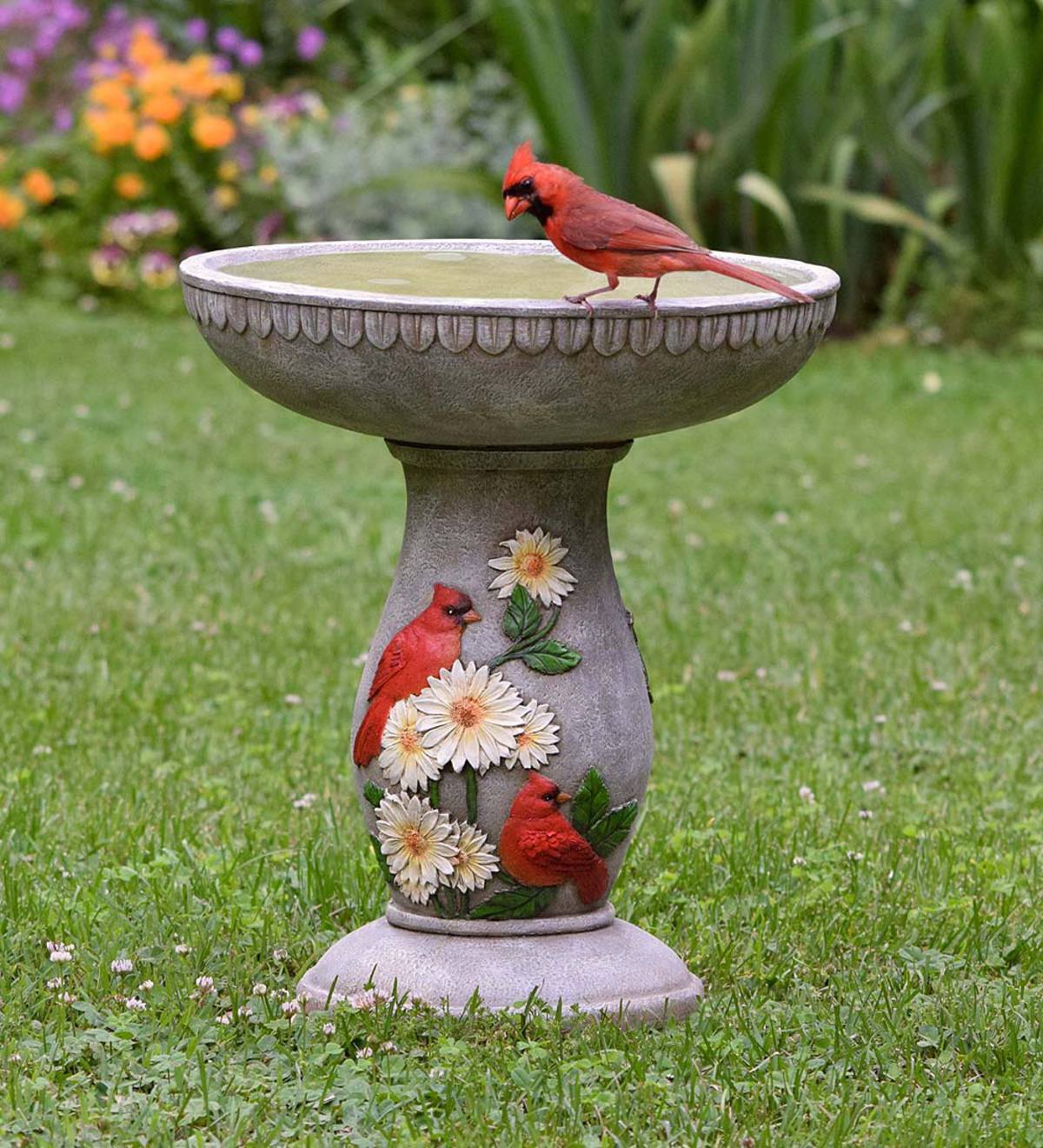 Cardinal Birdbath