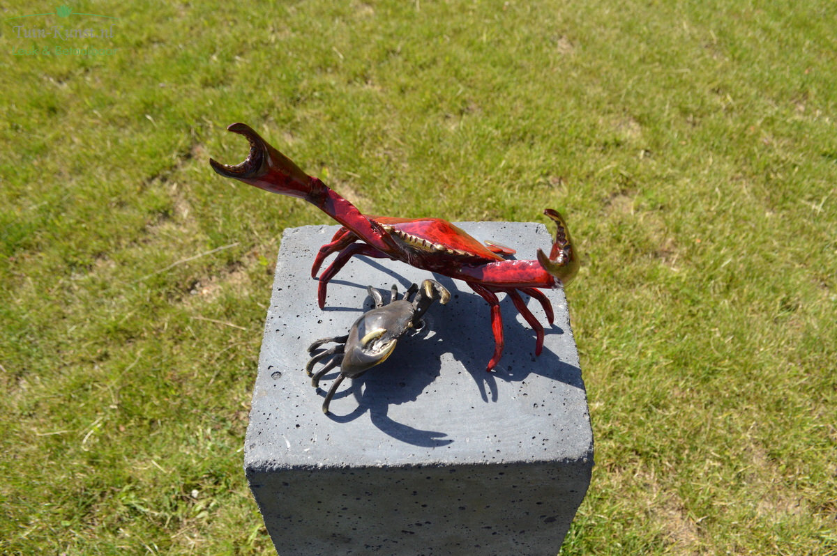 Parent crab with child crab