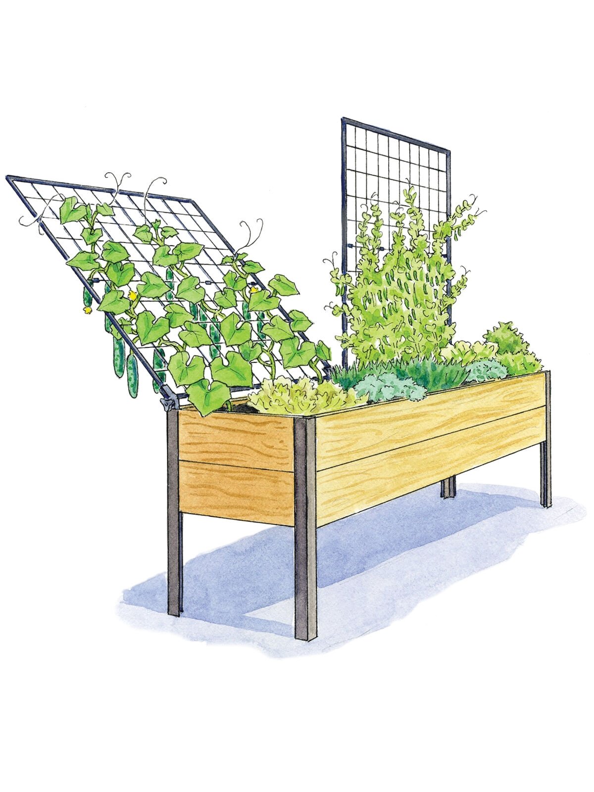 Elevated Planter Box and Space-Maker Pivoting Trellis Set. 2' x 8'