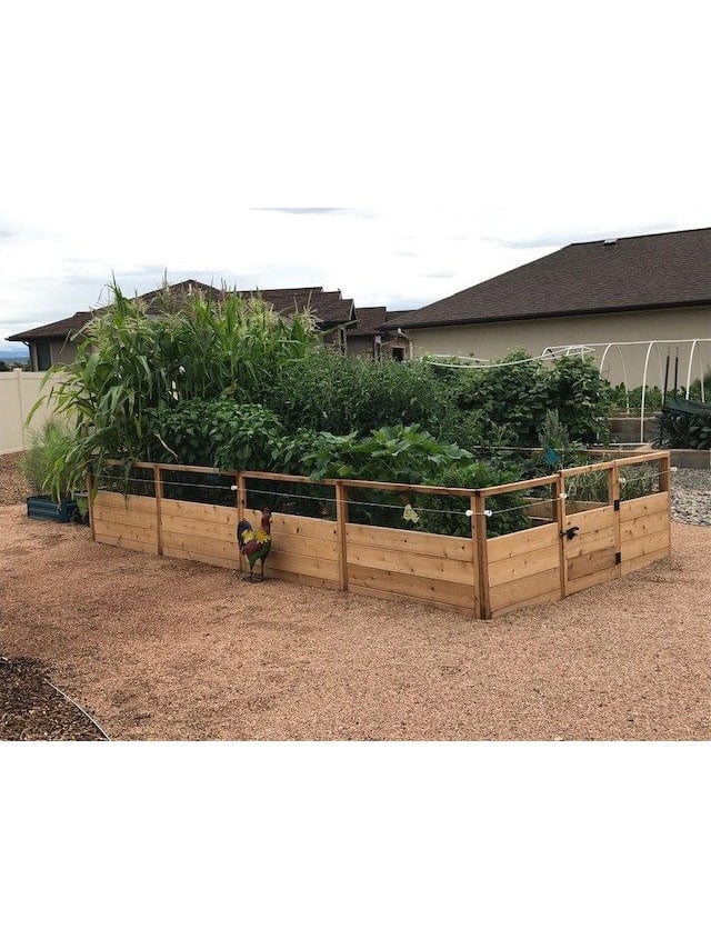 Garden in a Box. 8' x 16'