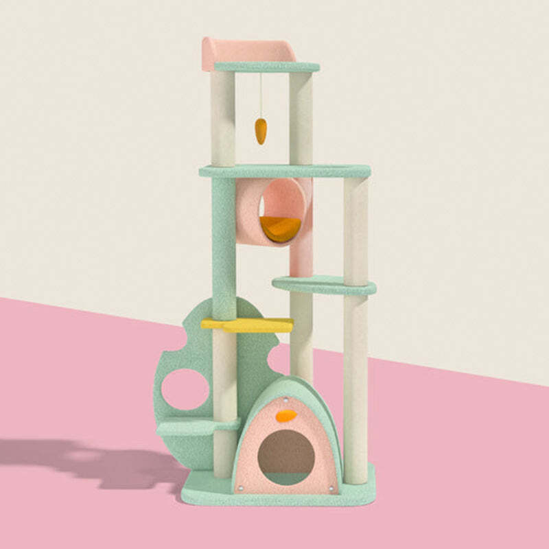 The Best Gift For Your Cats