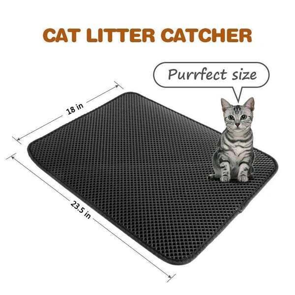 The Best Gift For Your Cat