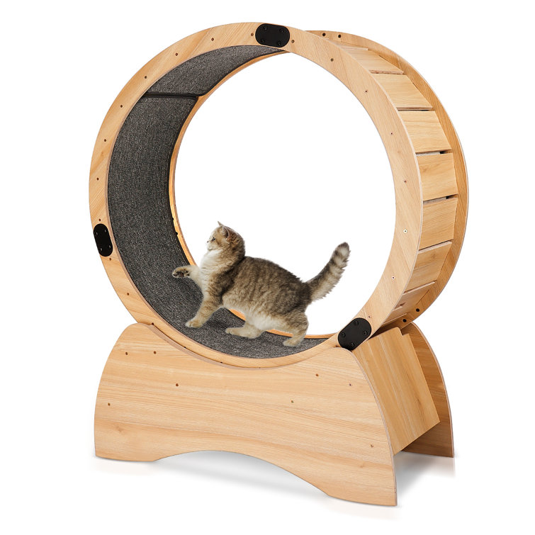49.6 H Conine Cat Perch