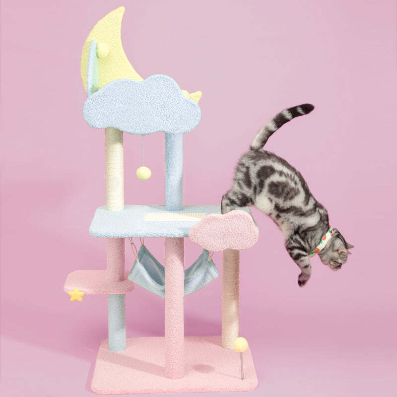 The Best Gift For Your Cats