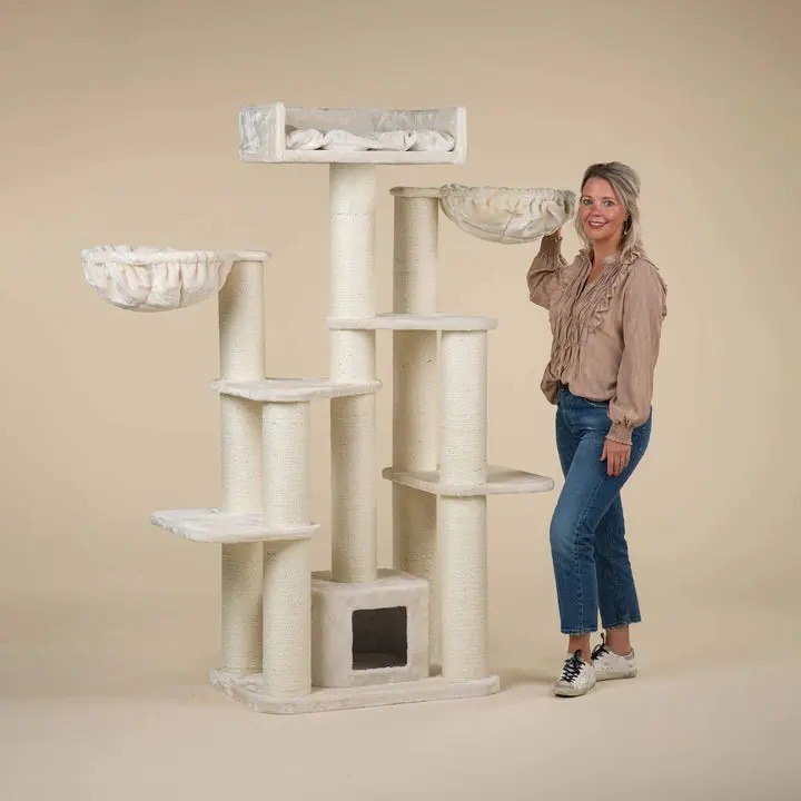 The Best Gift For Your Cats