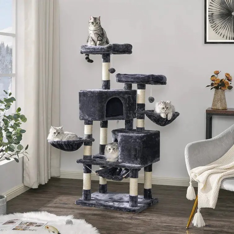 The Best Gift For Your Cats