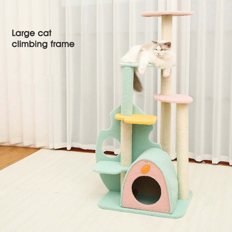 The Best Gift For Your Cats