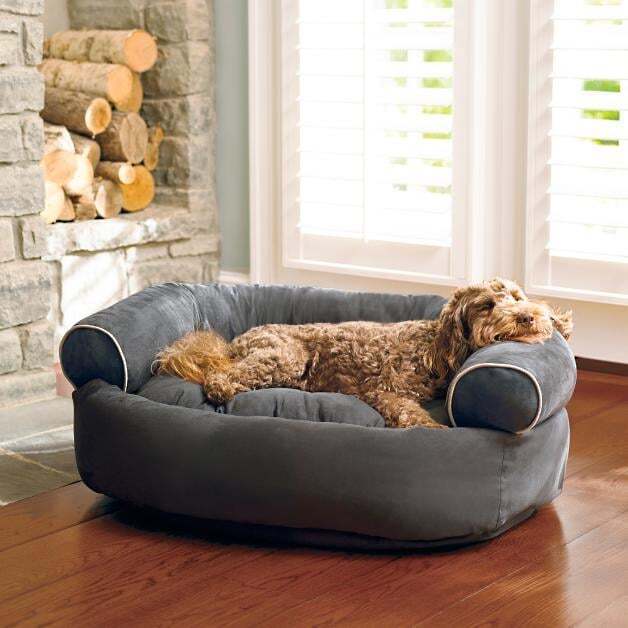 The Best Gift For Your Dogs