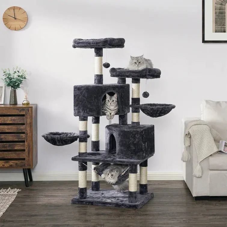 The Best Gift For Your Cats