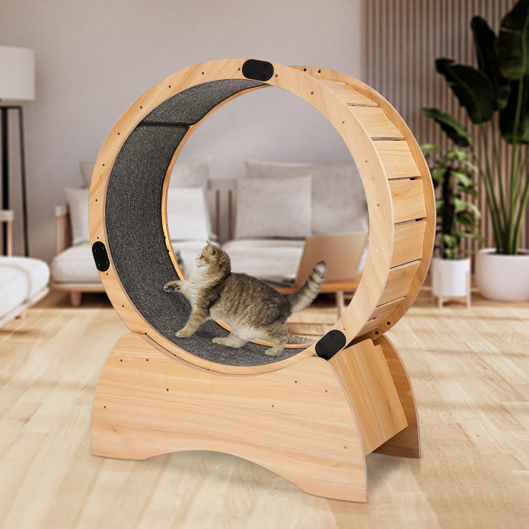 49.6 H Conine Cat Perch