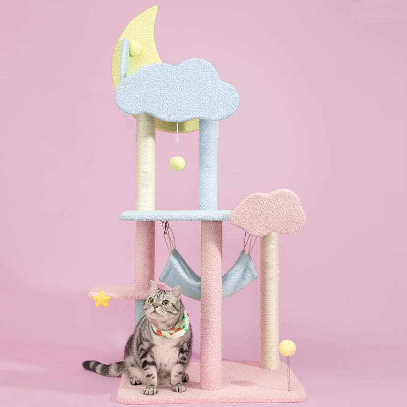The Best Gift For Your Cats